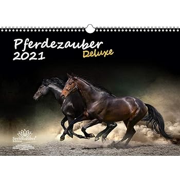 Geburtstagskalender Pferde 34 3 X 23 3 Cm Immerwahrender Kalender Mit Foto Motiven Pferd Wandkalender Mit 13 Blatt Amazon De Burobedarf Schreibwaren