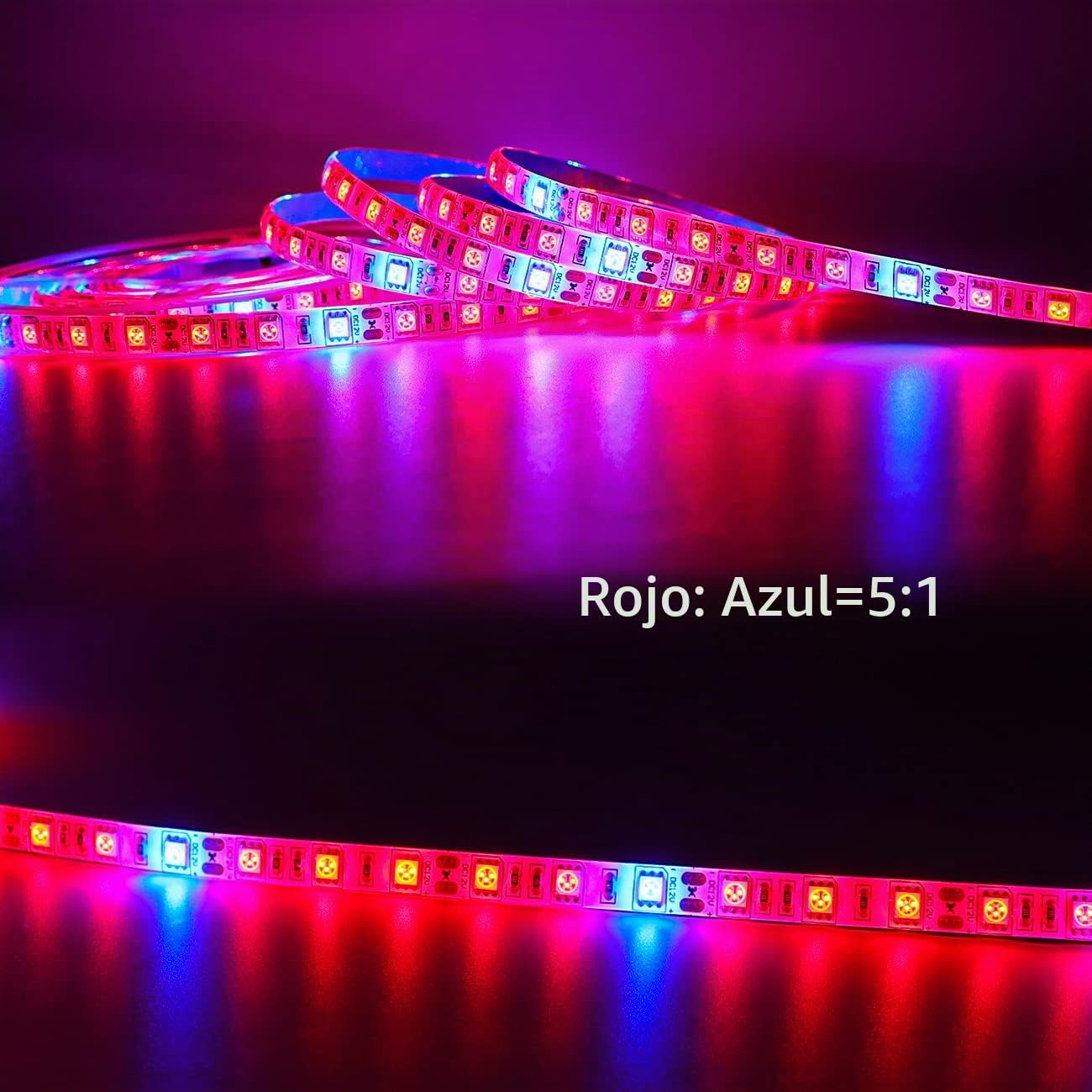 LED planta crecer tira luz DC 12V IP65 impermeable espectro completo SMD 5050 rojo azul 5: 1 cuerda luz para acuario Invernadero plantas