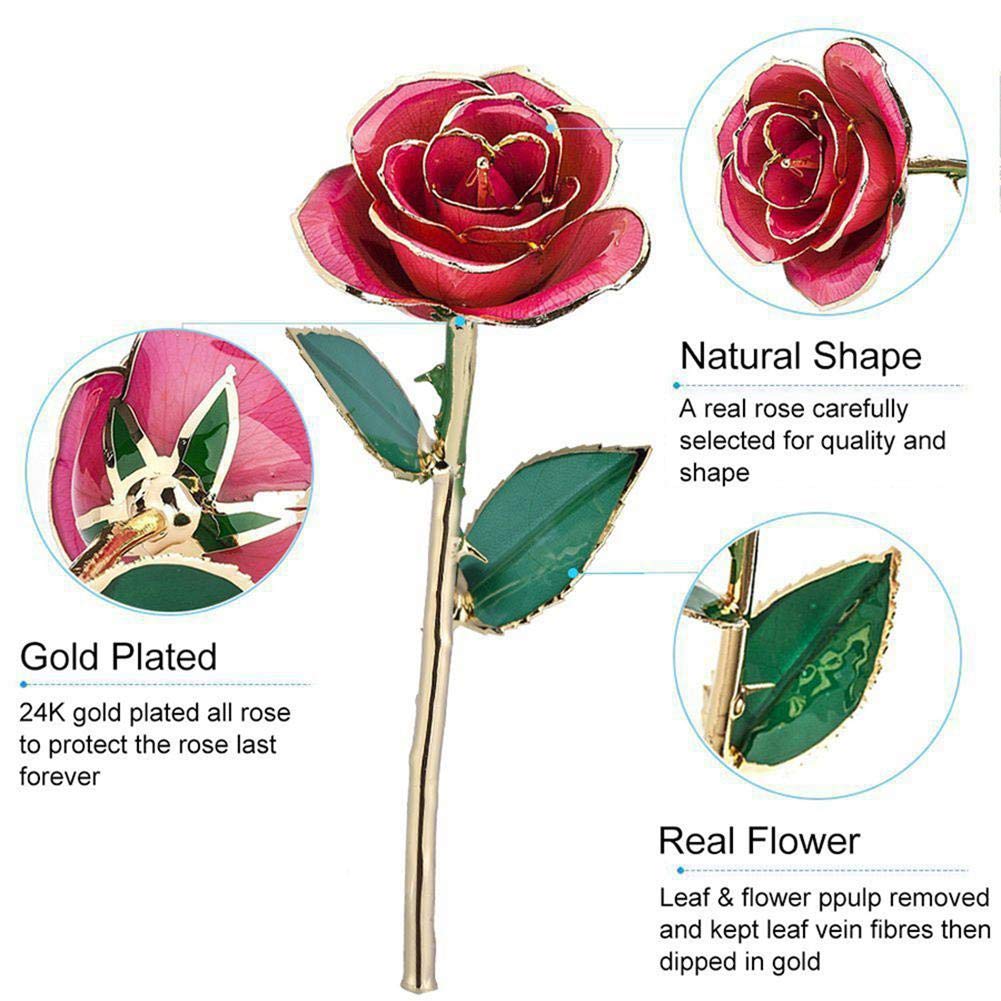 Rosa de oro de 24 quilates, flor única para siempre, tallo largo, rosa con soporte para cumpleaños, día de San Valentín, día de la madre, Navidad, vacaciones, boda