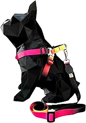 Coleira Peitoral Com Guia Longa De 2 Metros Para Cachorro Pequeno e Medio (DEGRADE, Tamanho P: circunferência 28 cm a 38 cm de tórax)