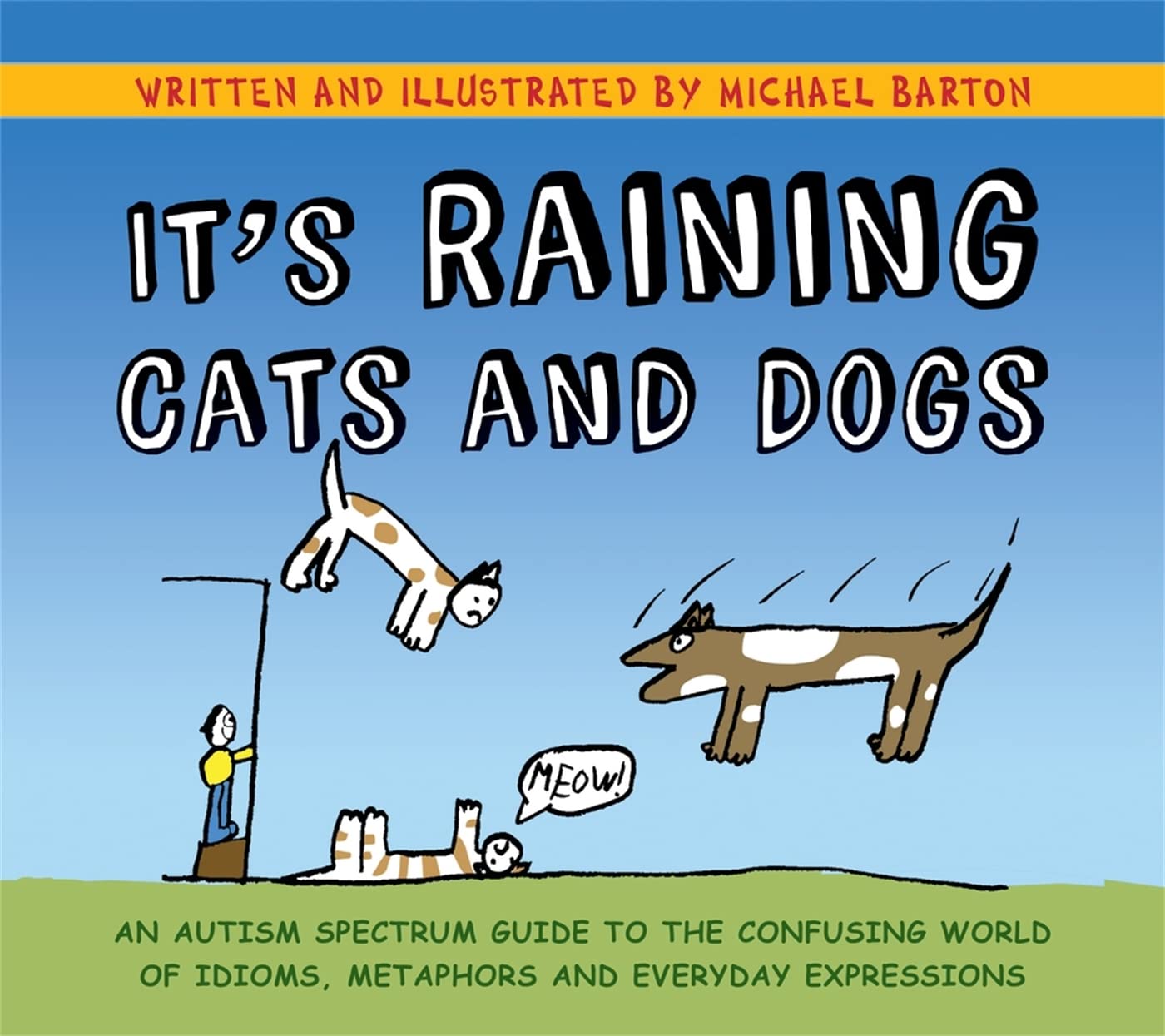 It's Raining Cats and Dogs: An Autism Spectrum Guide to the Confusing World of Idioms, Metaphors and Everyday Expressions Hardcover – December 15, 2011