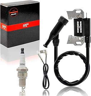 1PZ HG2-F07 Ignition Coil with Spark Plug for Predator 420cc 5000W 6500W 7000W 8750W Gas Generator Engine