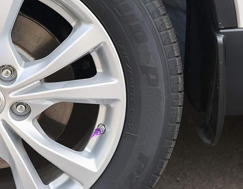 Vista 9 de Lunsom Tapas de vástago de válvula de pincho, accesorios de metal para válvulas de neumáticos, se adaptan a la mayoría de automóviles, motocicletas