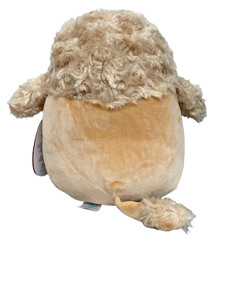 jacinda the poodle squishmallow