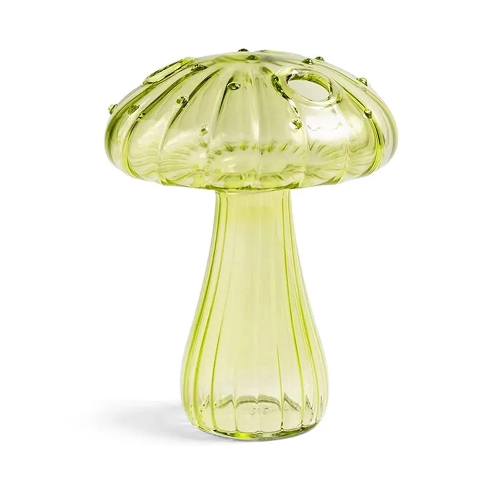 Vase en verre champignon plante hydroponique et décoration créative