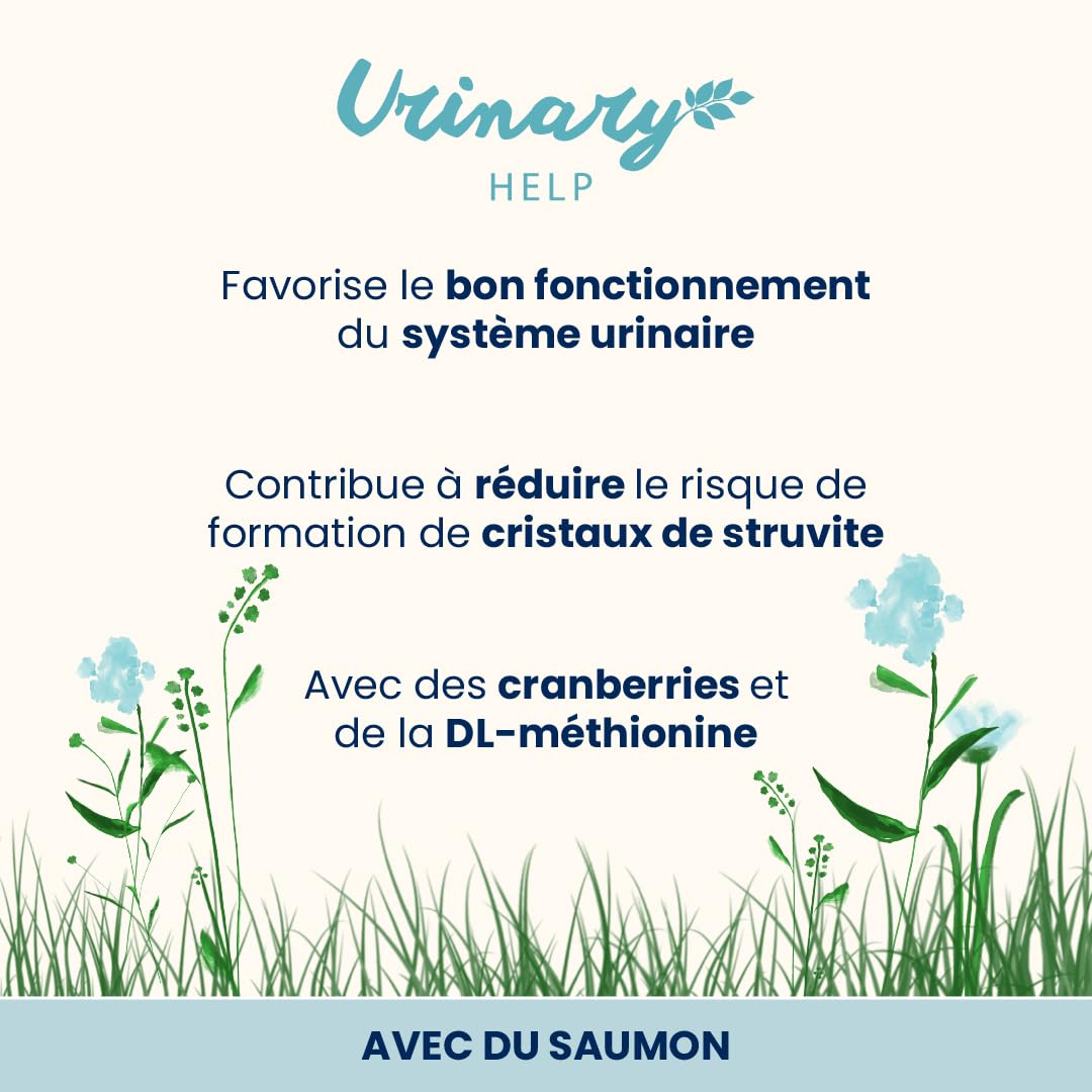 Almo Nature Holistic Urinary Help Aliment Humide pour Chats Adultes avec Saumon - (30 sachets de 70 g)
