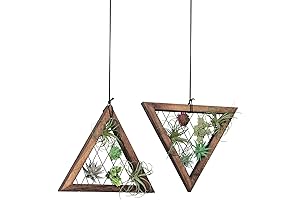 Triangle Plant Wall Hanger: Minimalist Decor for Air Plants, Succulents, Tillandsia