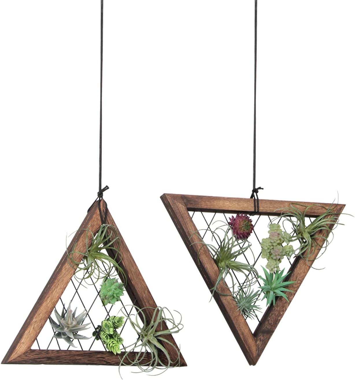 J JACKCUBE DESIGN Air Plant Triangle Frame Hanging Airplant Holder, Rustic Wood Tillandsia, Succulent Plants Display Hanger Shelf for Wall Décor, Set of 2- MK1061A
