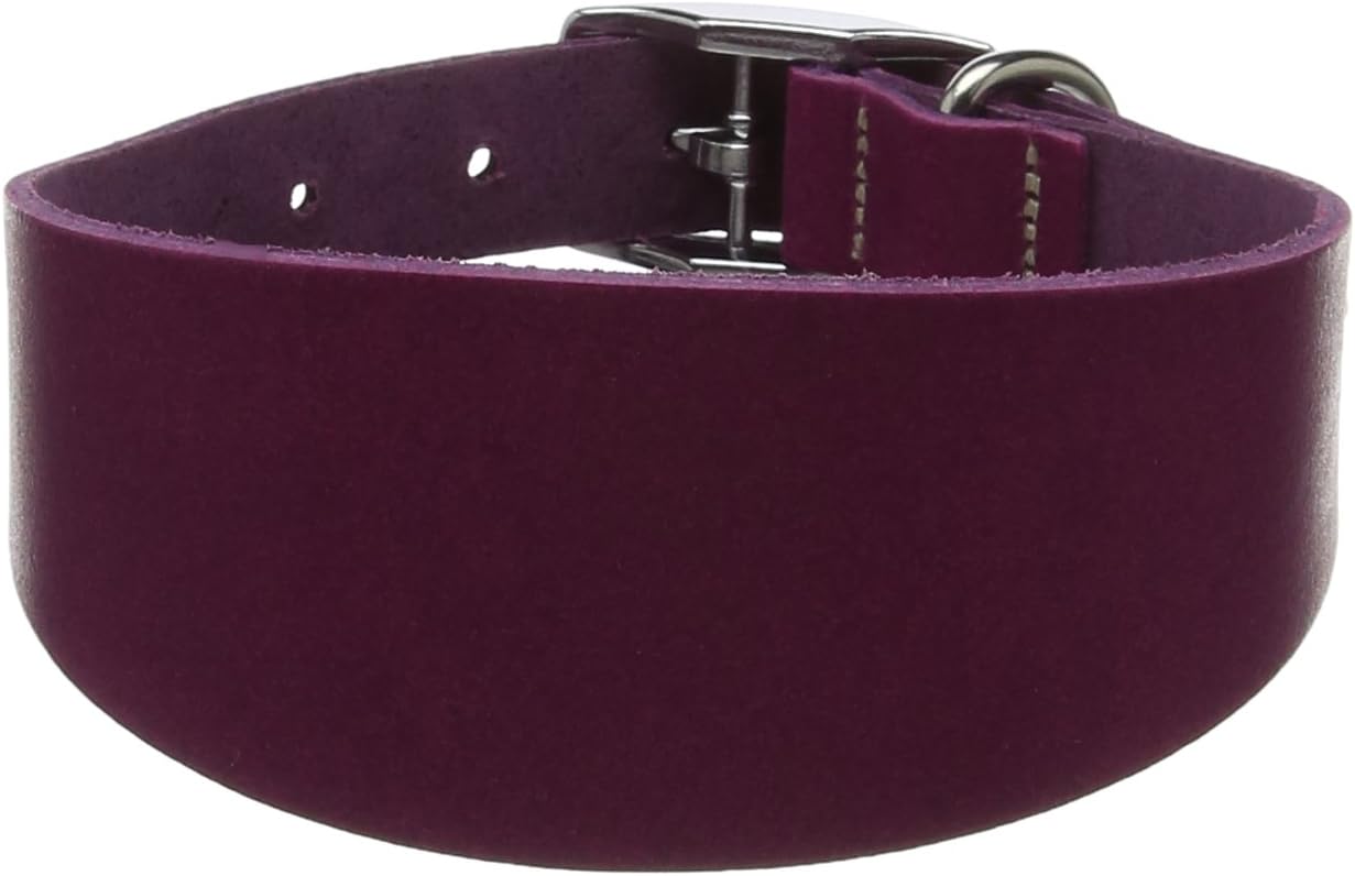 BBD Pet Products Whippet Leather Collar, Boysenberry, Chrome