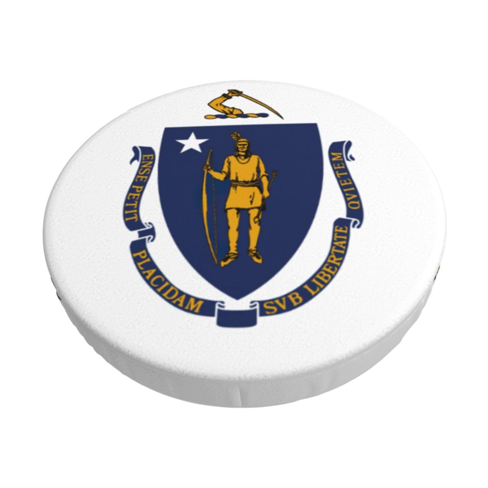 ACVnbm Massachusetts State Flag Print Round Bar Chair Cushion Cover, Elastic Chair Protector For Kitchen Bar Dining