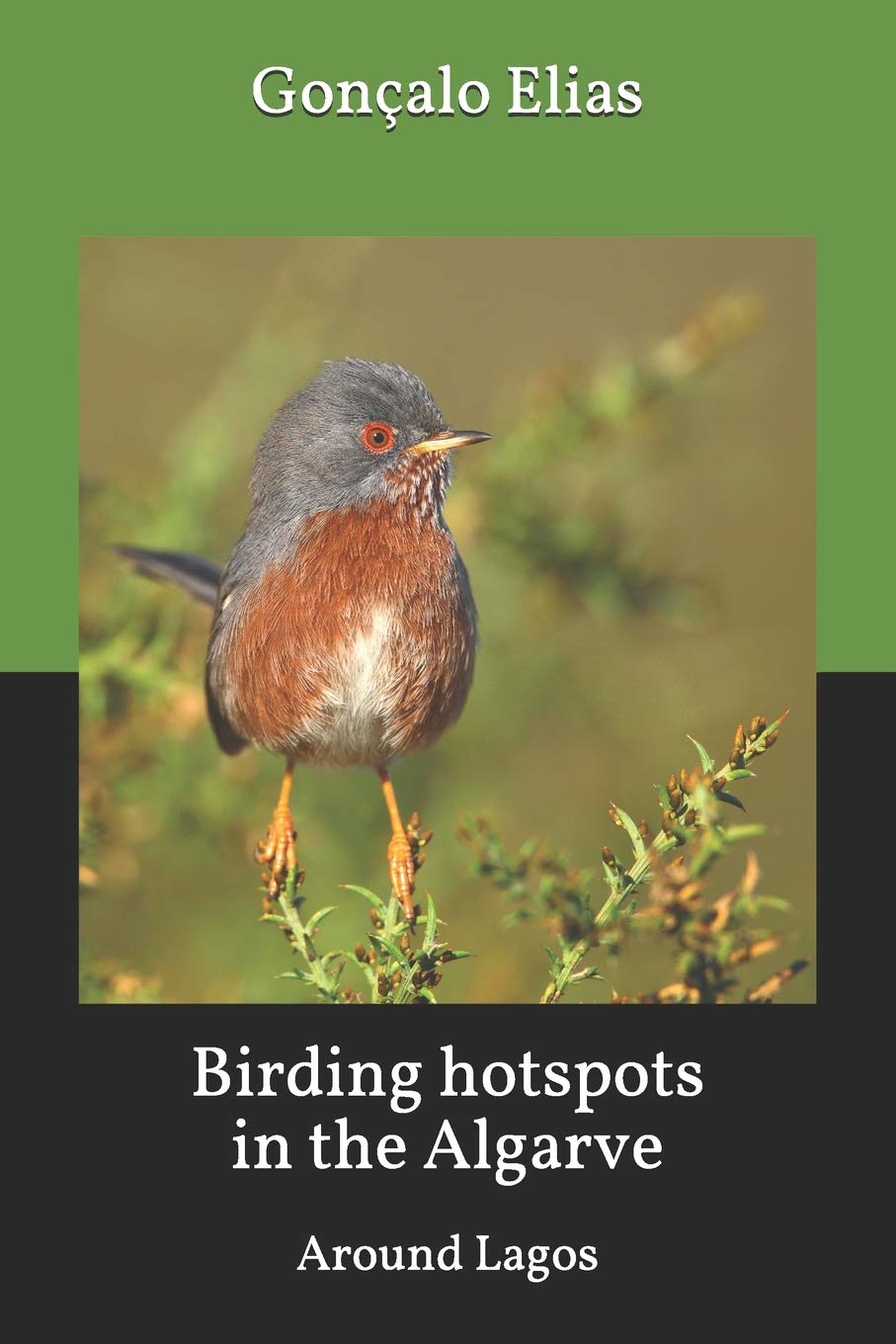 Birding hotspots in the Algarve: Around Lagos: Volume 1