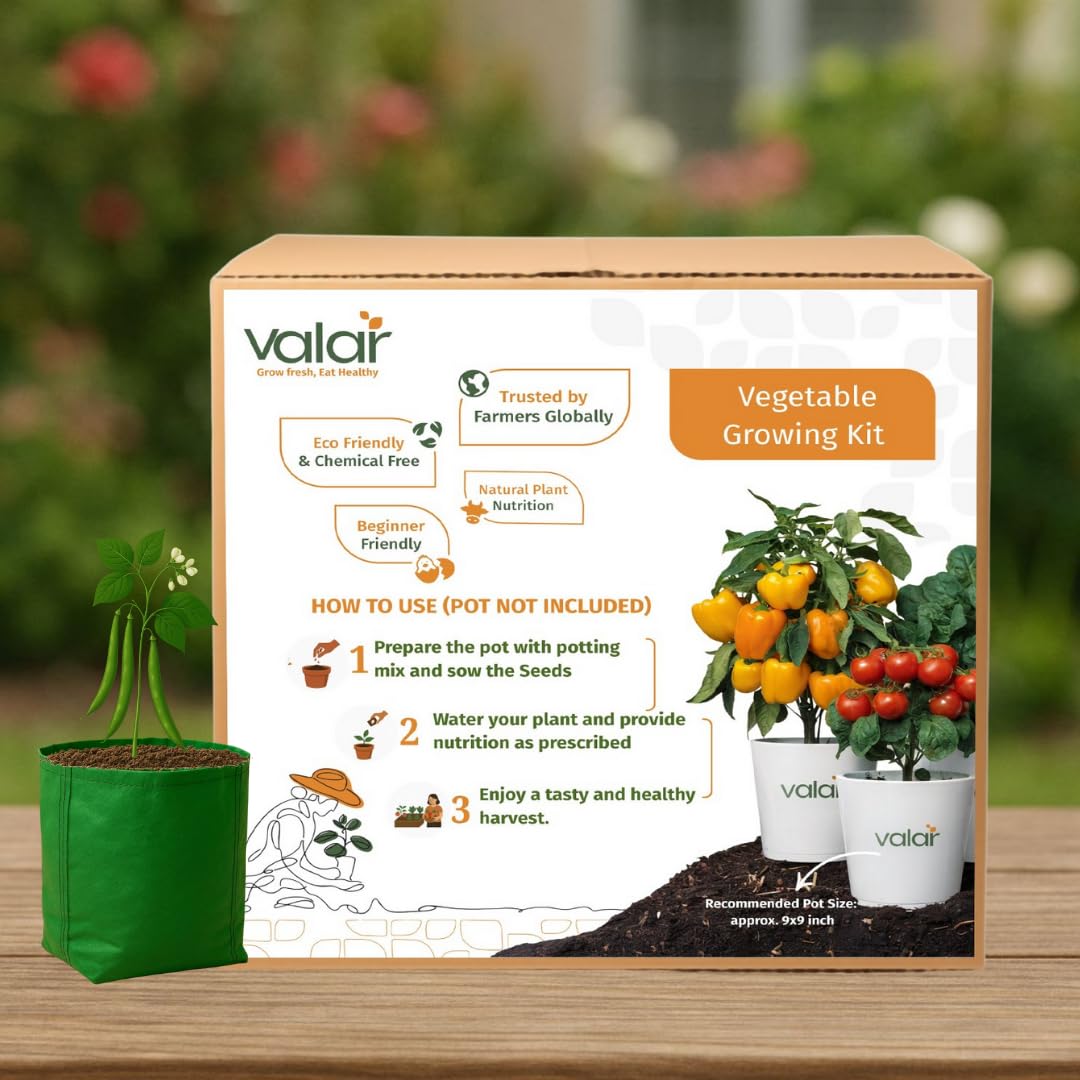 valar french bush beans growing kit | diy all-in-one home gardening set (pack of 1 - big) | organic seeds + bio-fertilizers + 24x7 support.