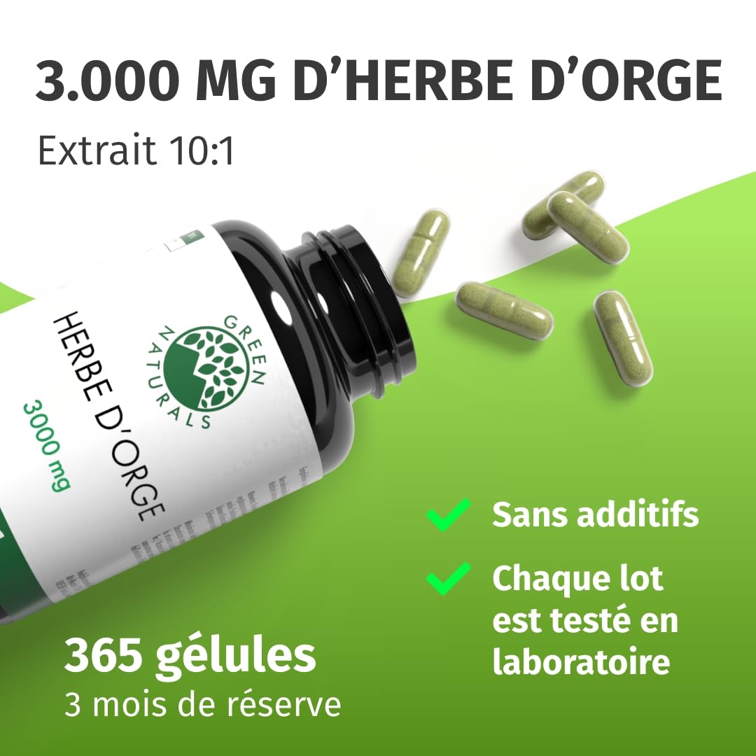 Herbe d'orge gélules naturelles et pures - Dosage élevé: 3.000 mg avec extrait 10:1-365 capsules (3 mois) - Qualité premium d'Allemagne - Végan et testé en laboratoire - Green Naturals®