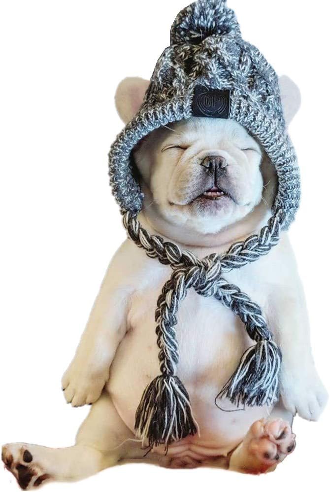 ペット帽子 犬用帽子 お出かけ ニット帽 ハット ペット用品 ポンポン付き 冬 寒さ対策 小型 暖かい 犬 犬猫兼用 猫帽 猫用被り物 手数料無料 猫帽