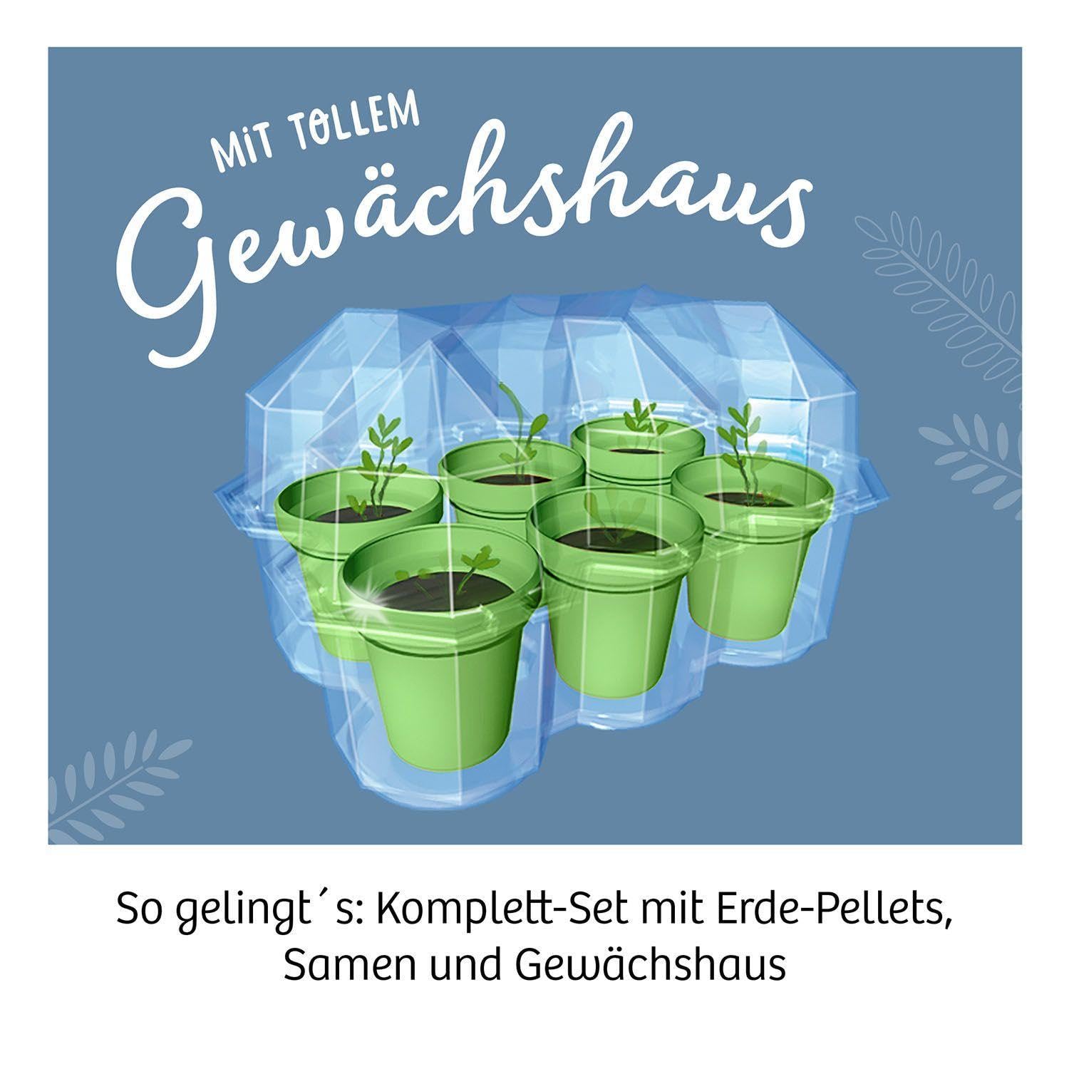 Mimosen-Garten: Experimentierkasten