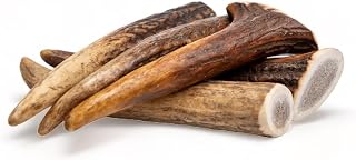Hirschgeweih für Hunde - Die Robuste Geweihstange als Kauspielzeug. EIN Widerstandsfähiger Kauknochen zur Stärkung der Kaumuskulatur- XS (5er Pack) Nicht Halbiert