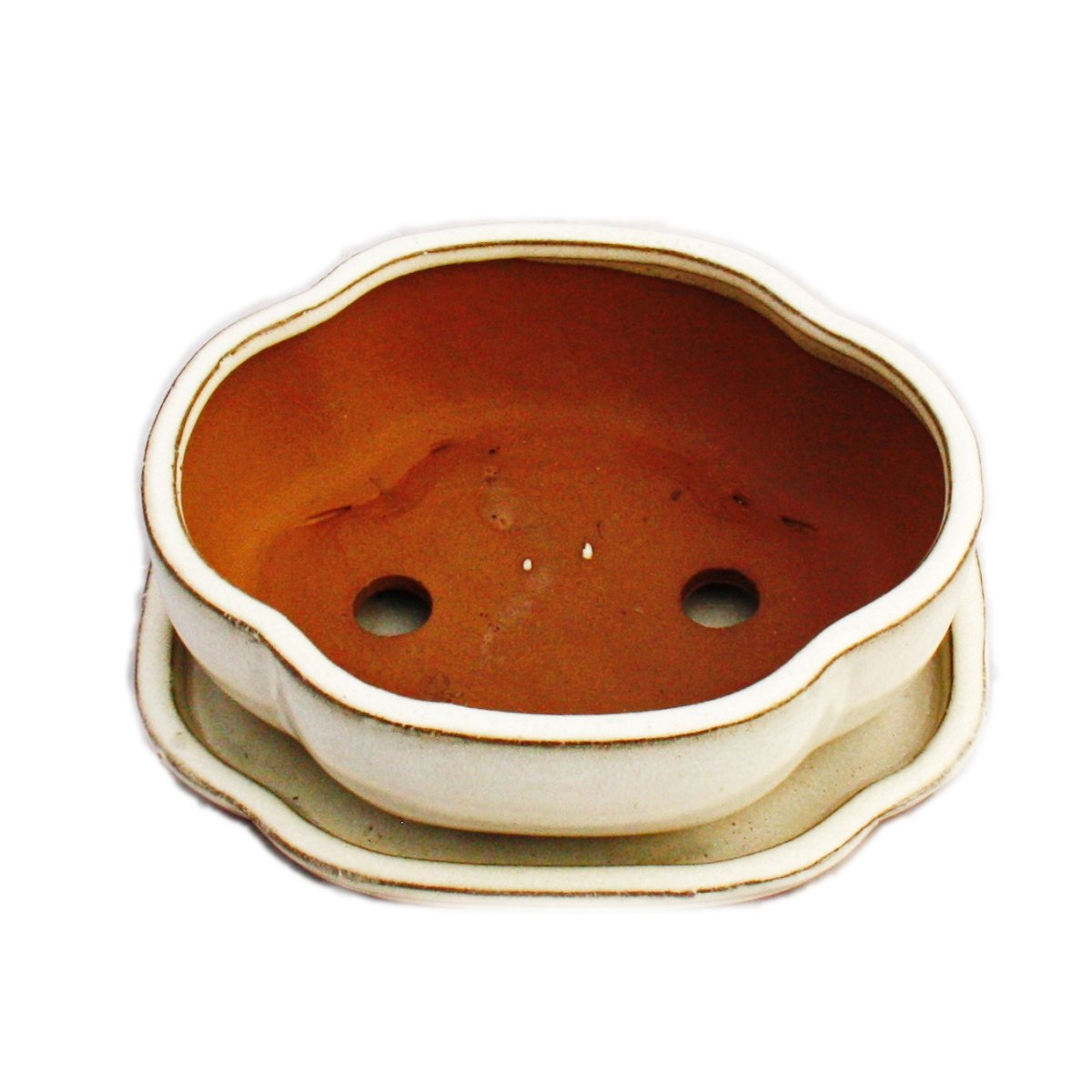 Exotenherz Bol à Bonsaï Avec Soucoupe Taille 2 - Olive Marron - Haitang Ovale Modèle I5 - 14,5 X 12,5 X 5 Cm