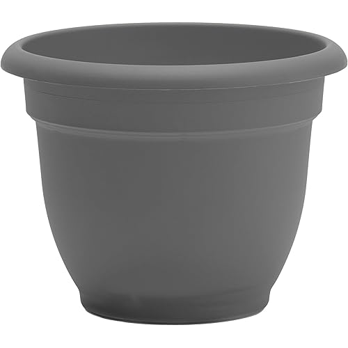 Bloem Ariana Self Watering Planter: 12" - Charcoal - Durable Resin Pot, for Indoor & Outdoor Use, Self Watering Disk Included, Gardening, 3 Gallon Capacity