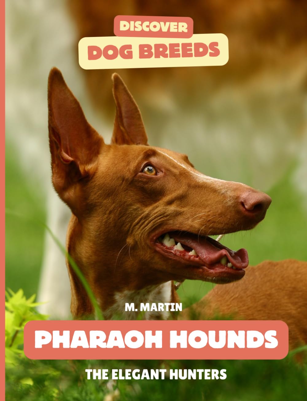 Pharaoh Hounds: The Elegant Hunters (Discover Dog Breeds)
