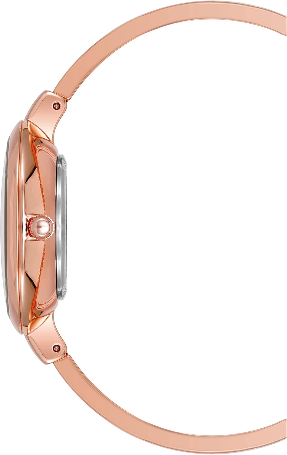 Anne Klein Orologio Elegante AK/1470GBST Anne Klein Orologio Elegante AK/1470GBST