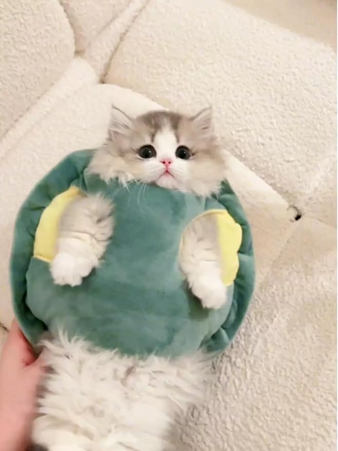 Disfraz de Tortuga para Perros Medianos Caparazón Kawaii miniatura 6