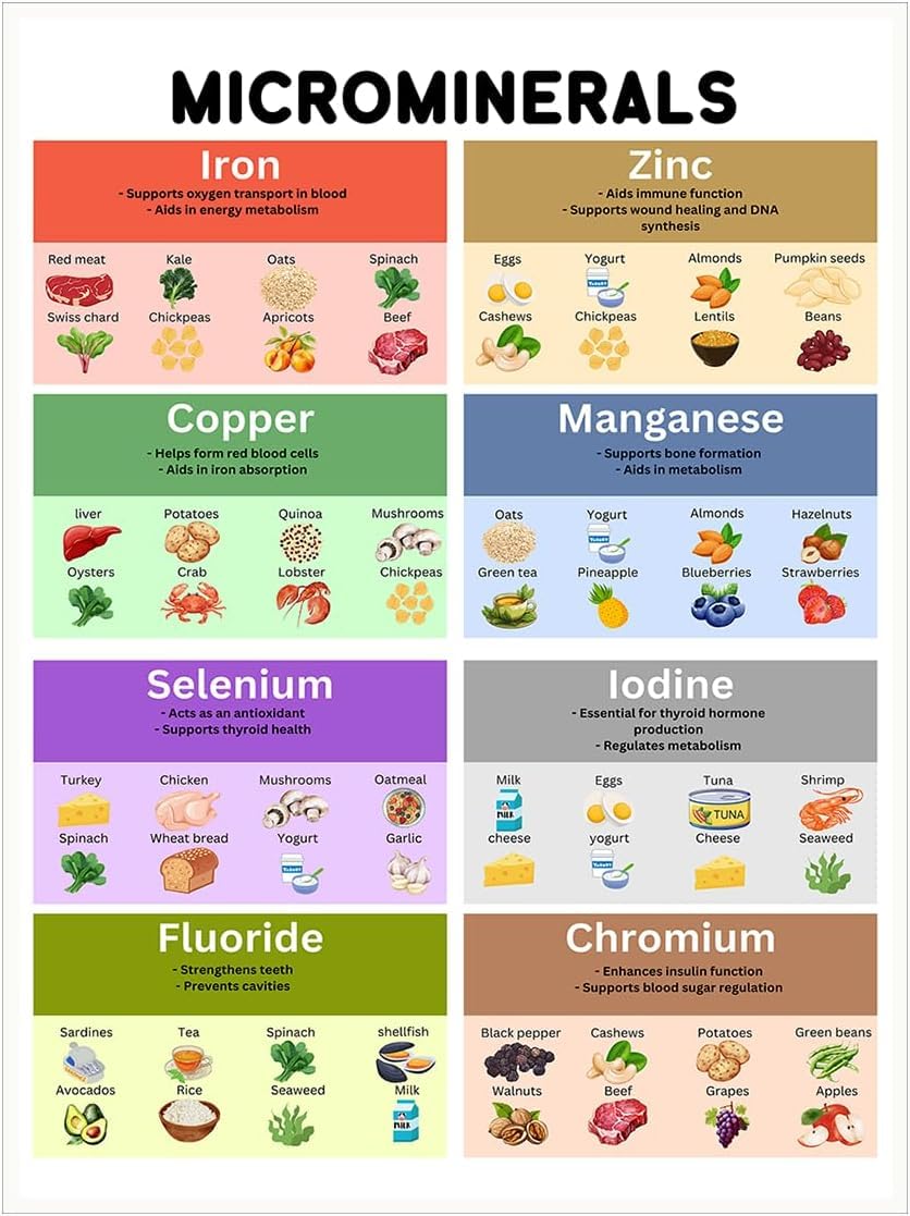 Health Benefits Food Chart Poster β Educational Nutrition Art Print, Vitamin and Mineral Guide, Healthy Eating Poster, Kitchen Wall Decor Metal Tin 8x12 Inch