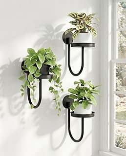 Bamworld Hanging Planters for Indoor Plants Wall Plant Holder Plant Hang...