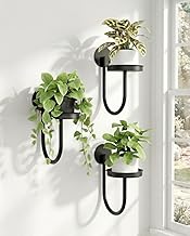 Bamworld Hanging Planters for Indoor Plants Wall Plant Holder Plant Hanger Indoor Wall Planters Window Plant Shelves Hanging Plant Holder Window Plant Hanger Plant Decor Black 3pcs