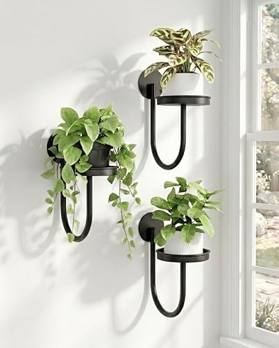 Bamworld Hanging Planters for Indoor Plants Wall Plant Holder Plant