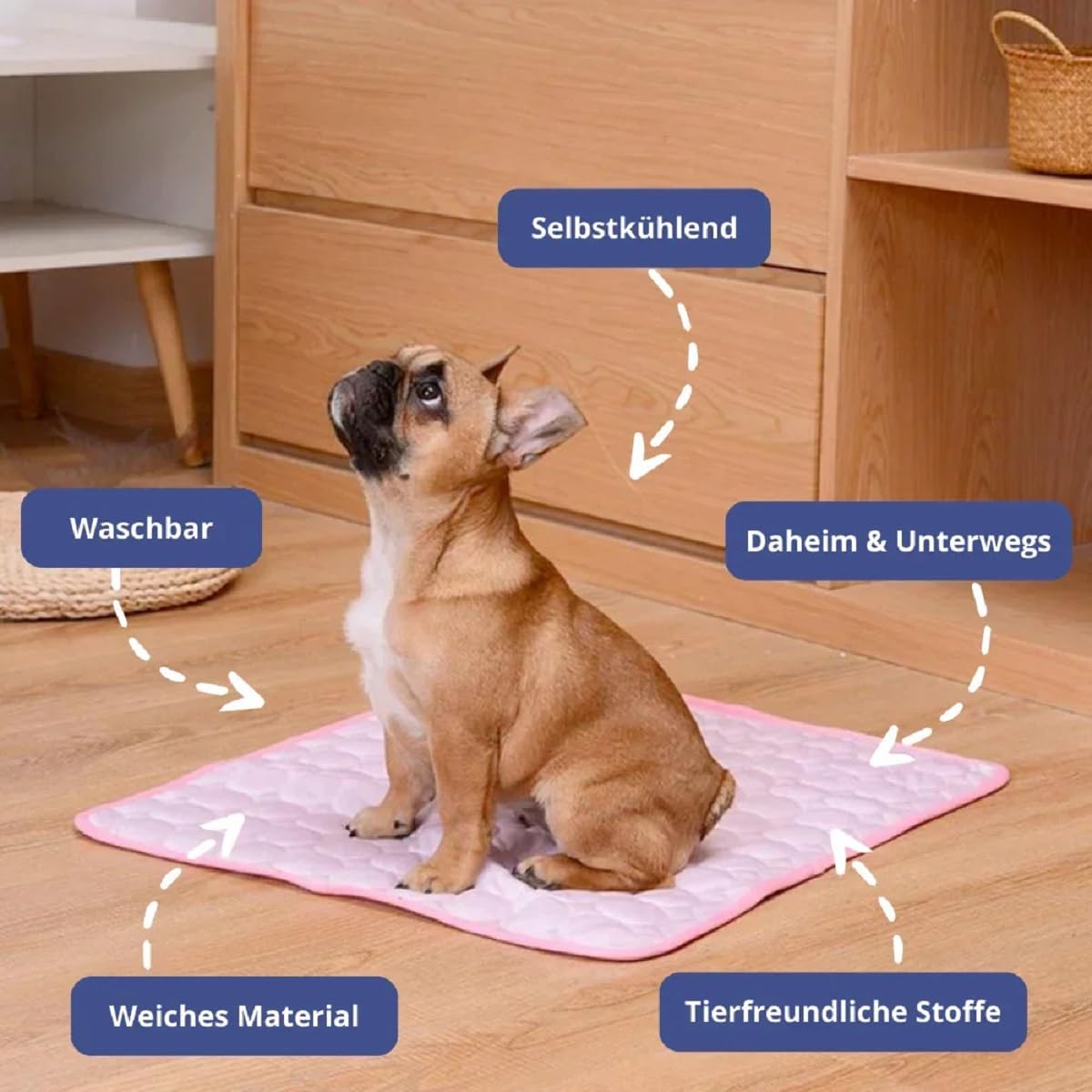 Mini Tapis Rafraîchissant Pour Chien/chat, Conçu Pour Sac De Transport
