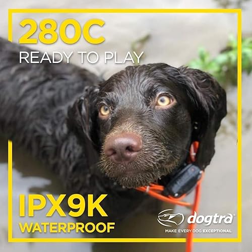 Miniatura 5 de Dogtra 280C impermeable con control preciso de 127 niveles, pantalla LCD de 12 milla, collar electrónico para perros