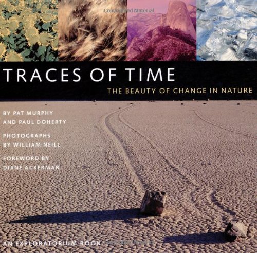 Traces of Time: The Beauty of Change in Nature