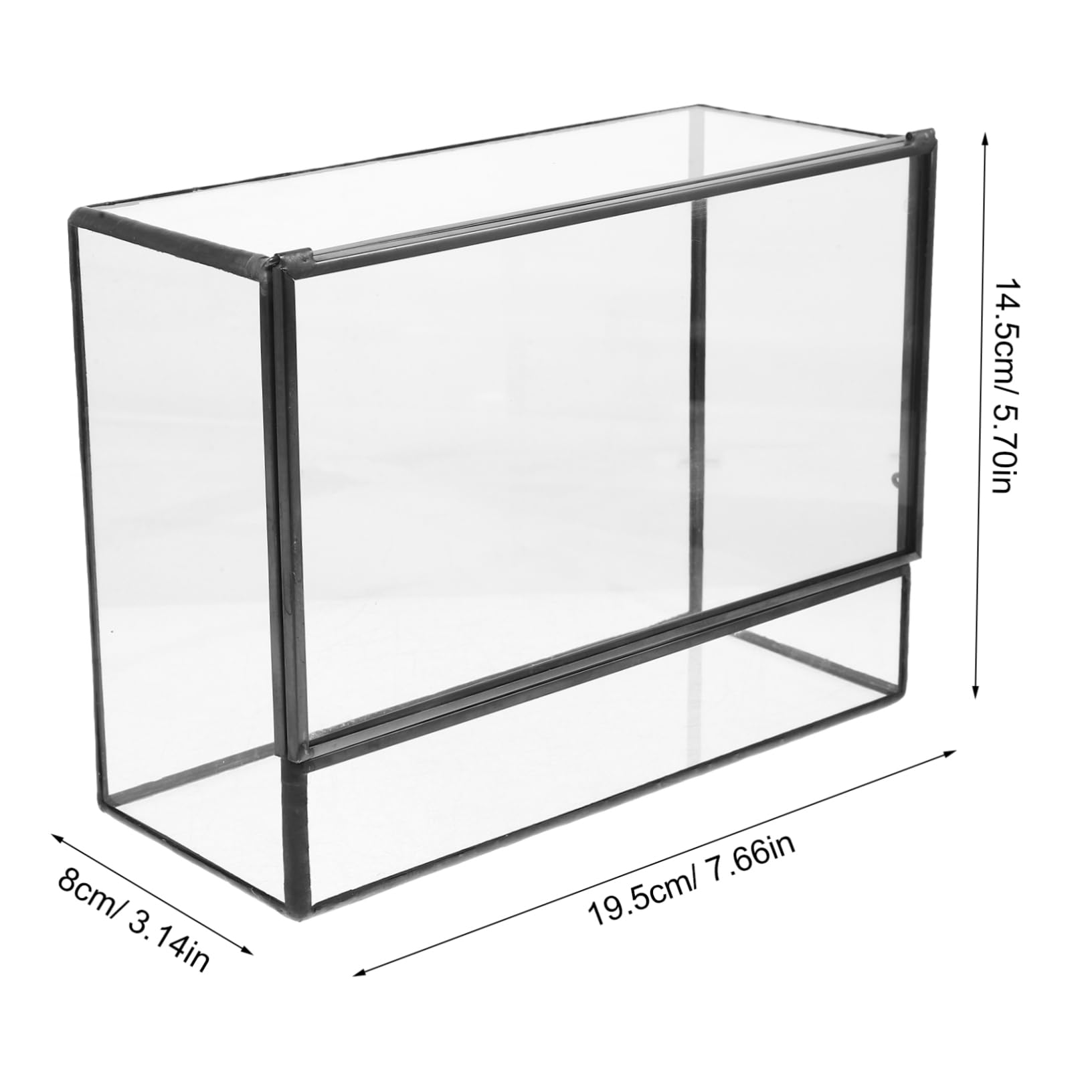 Terrario Pequeño Geométrico de Vidrio para Plantas | Recipiente Decorativo de Estaño, Cuerpo Transparente, Fácil de Limpiar, Adecuado para Musgo y Bricolaje