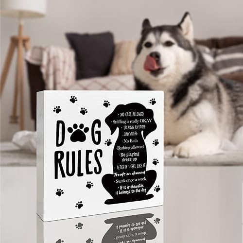 Miniatura 4 de Divertida decoración de escritorio para amantes de los perros, reglas de perro, decoración de perro para la oficina en casa, decoración