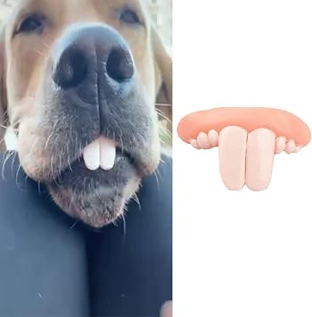 1Pc White Fake Teeth Fake Teeth for Dogs,Dog Toys,Funny Dog Teeth Braces, Dog Christmas Costume Suitable Dog Chew Toys Pet Supplies