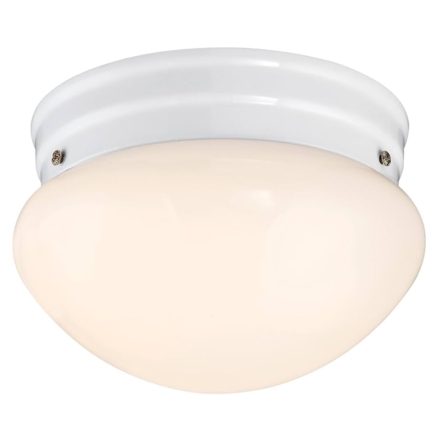 Westinghouse 6107100 7-1/4-Inch LED Indoor Flush Mount