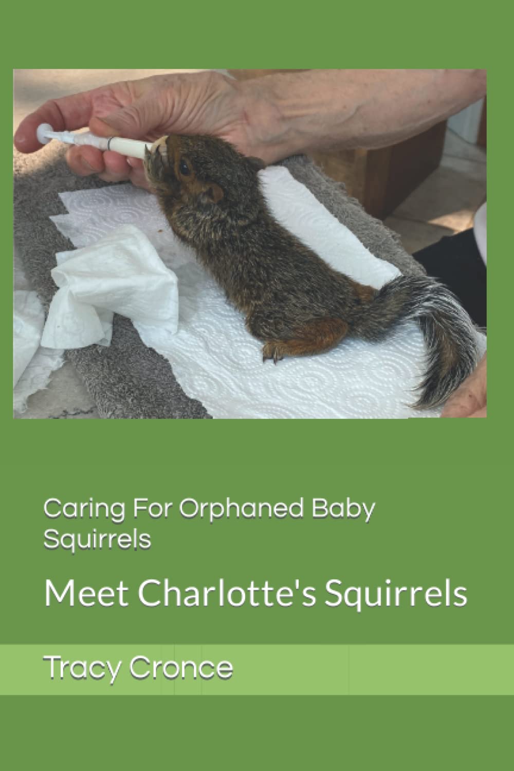Caring For Orphaned Baby Squirrels: Meet Charlotte's Squirrels