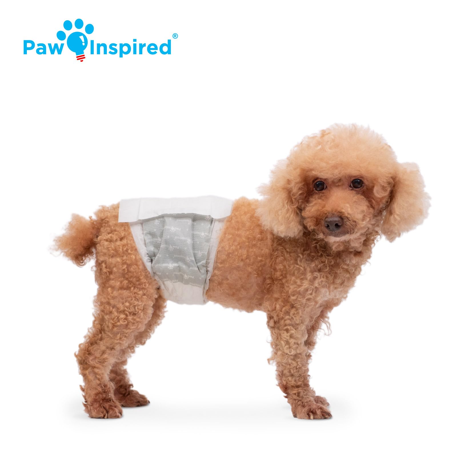 Paw Inspired Envolturas Desechables para Perros | Pañales para Perros machos | Banda para el Vientre para Perros machos | Orina emocionante, incontinencia o Marcas Masculinas (32 Unidades, S)