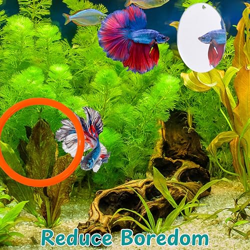 Image of Betta Mirror Enrichment Fish Toys Stimulation, 2 pcs Exercise Feeding Rings And Training Mirror With Floating Ball Toy, Betta Fish Tank Accessories, Small Aquarium Tank Decoration (Orange, M)