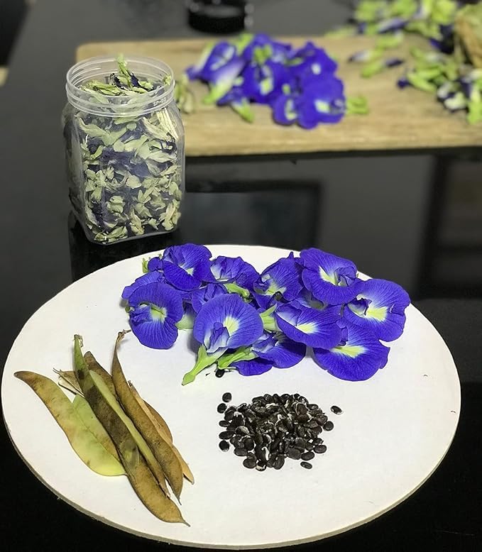 Image of Aparajita Flower Seeds - Blue Butterfly Pea, Fast Growing Climber for Home Garden | 50 seeds