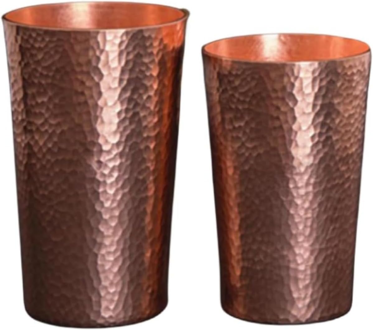 廃盤レア✴︎初回特典（ネガ）付き！イントゥ・ザ・ワイルド('07米)dvd