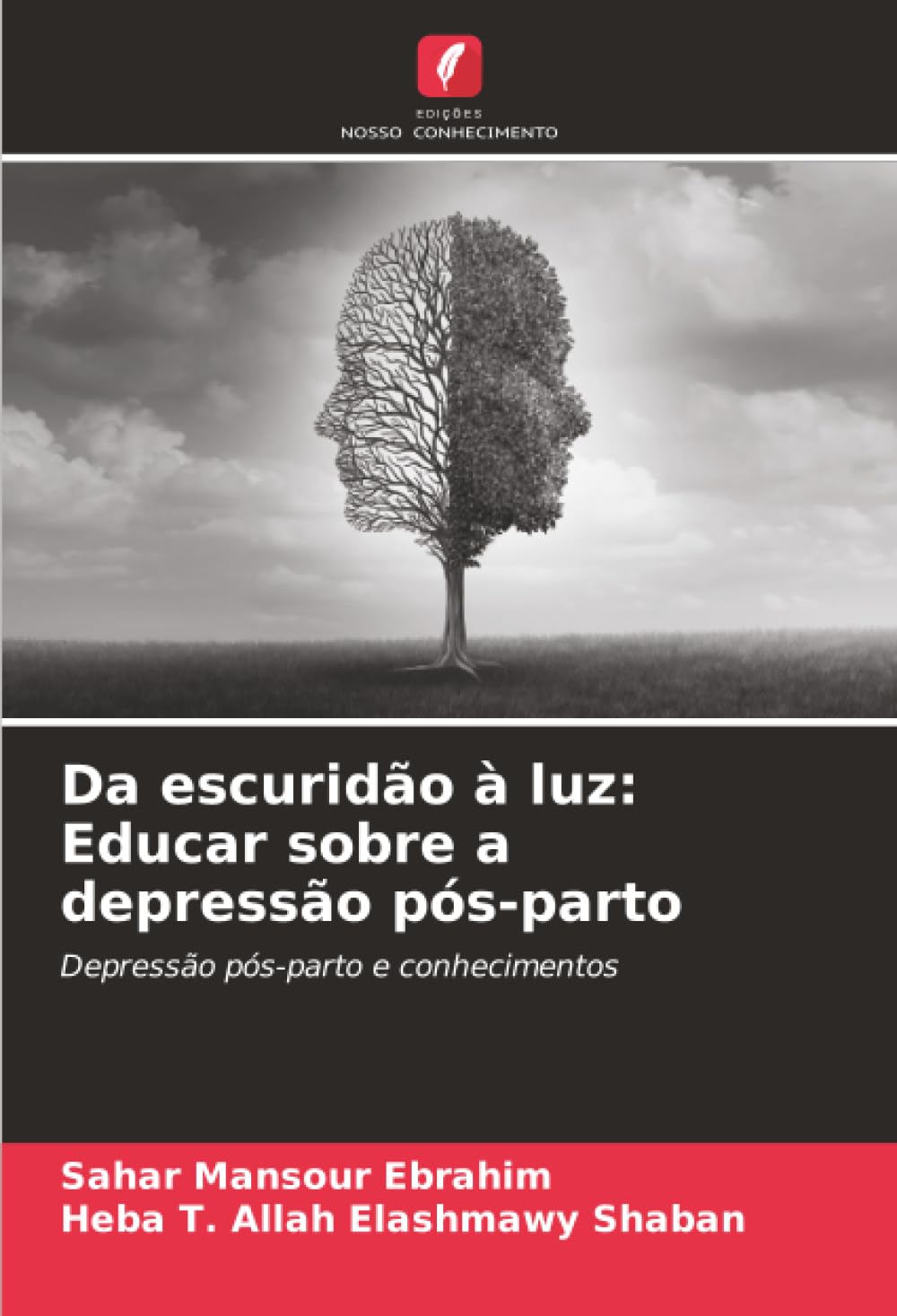 Da escuridão à luz: Educar sobre a depressão pós-parto: Depressão pós-parto e conhecimentos