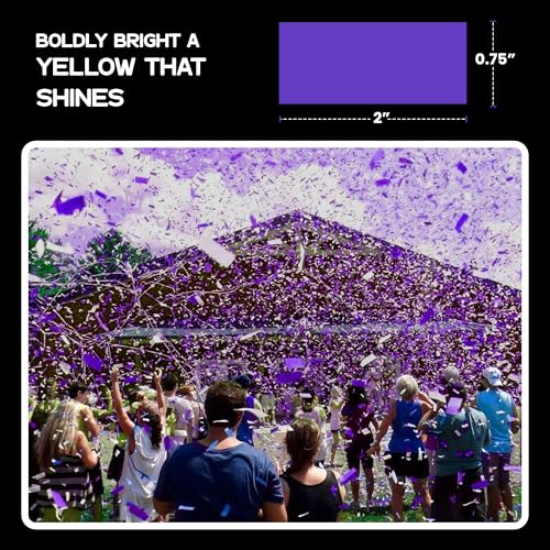 Image of Ultimate Confetti, Purple Biodegradable Confetti - Rectangular Fluttering Tissue Paper Confetti for Cannon and Launcher use - Best for Gender Reveal, Parties, Concerts and Weddings - 20 lb, 320 oz