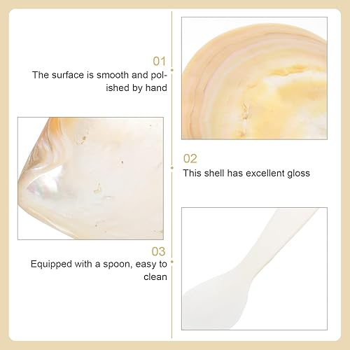 Miniatura 3 de Toyvian 1 juego de platos de concha natural para hornear, plato de caviar para servir postre y salsa con cuchara, plato decorativo de joyería para