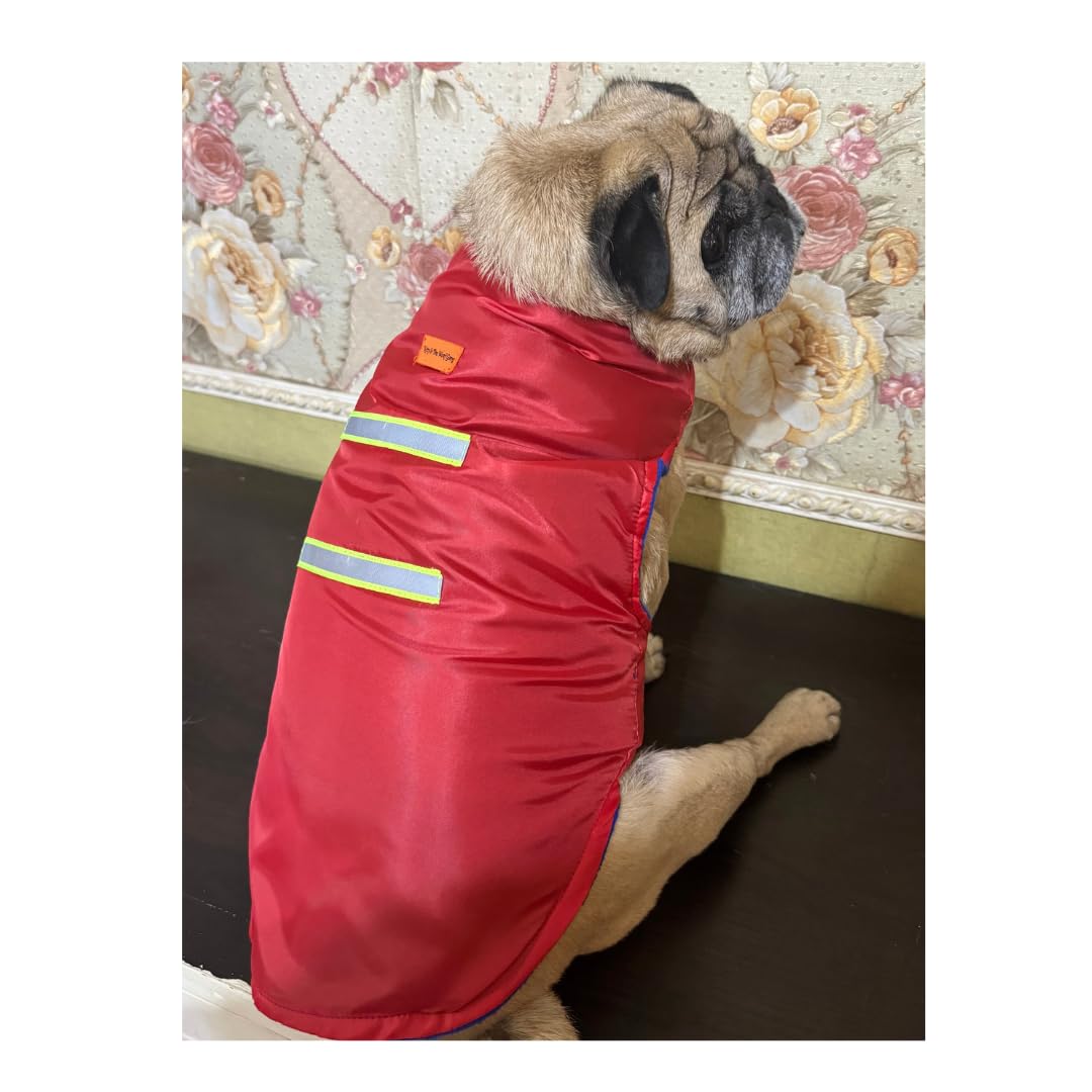 Kitty & The Woof Gang Warm Winter Jacket for Dog, Dog Coat, Dog Jacket | Dog Jacket for Small, Medium, Large Dogs | cat Jacket | pet Apparel | Dog Winter Clothes | Windproof - 8inch (B0CSG53FR8) Amazon Price History, Amazon Price Tracker