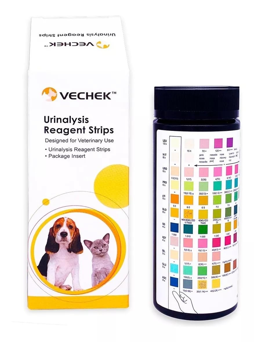 Kameron Diaz bilan porno Ka4ka ry porno tomosha