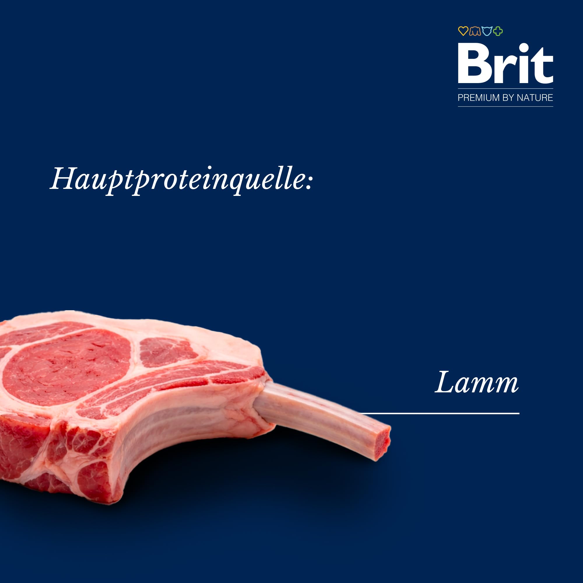 Brit Premium by Nature sucha karma dla wrażliwych kotów, hipoalergiczna karma dla kotów, smak jagnięciny, 8 kg
