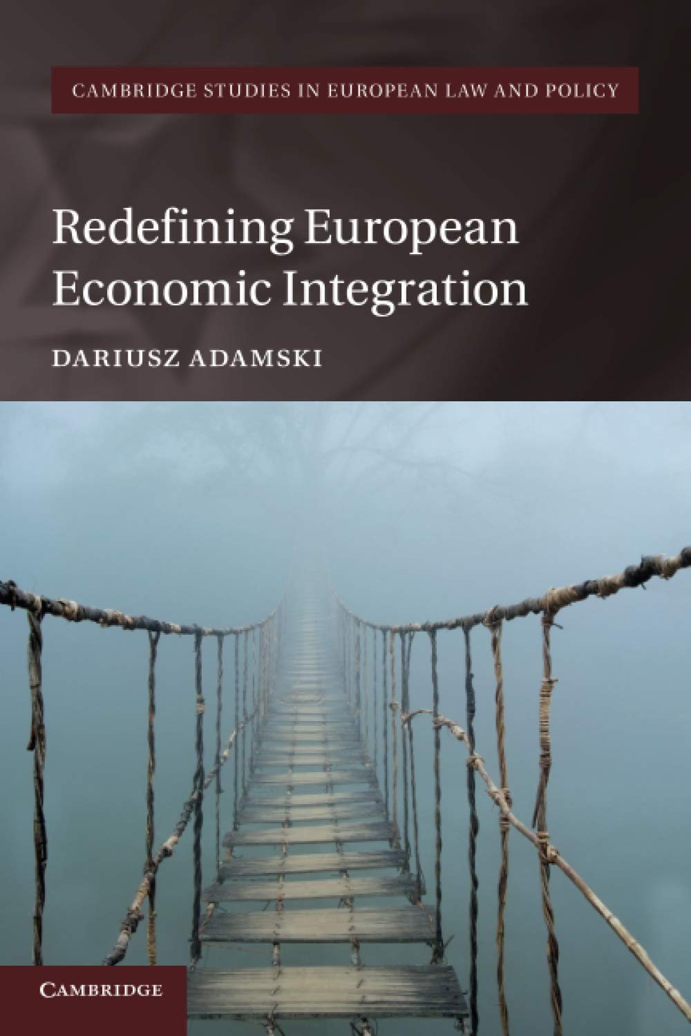 Redefining European Economic Integration (Cambridge Studies in European Law and Policy)
