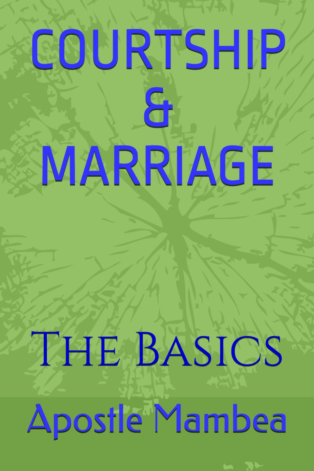 COURTSHIP & MARRIAGE: The Basics (Relationships)