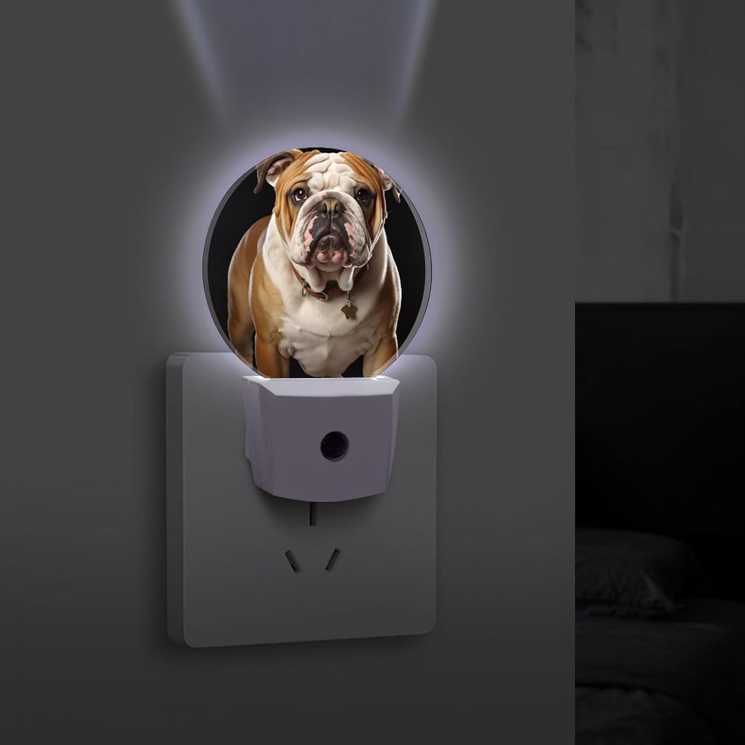 English Bulldog Plug-in LED Nightlight Wall Night Light image 4